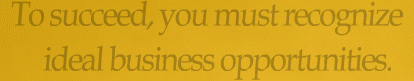 To succeed, you must recognize ideal business opportunities.